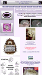 Mobile Screenshot of lilaccityhedgehogs.com