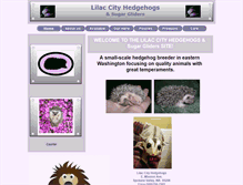 Tablet Screenshot of lilaccityhedgehogs.com